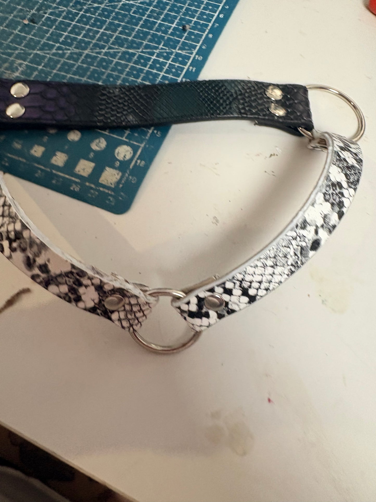 Harness e chocker serpente