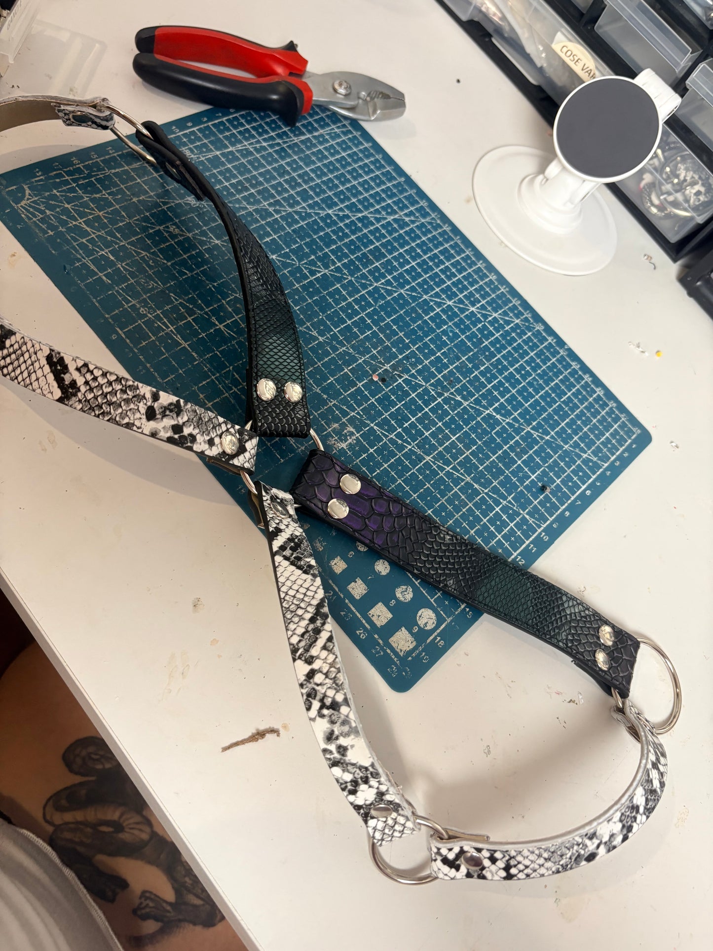 Harness e chocker serpente