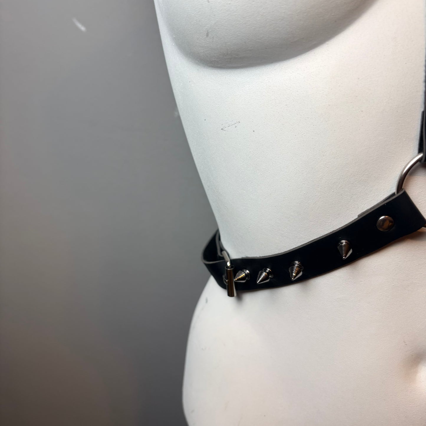 Harness semplice con borchie