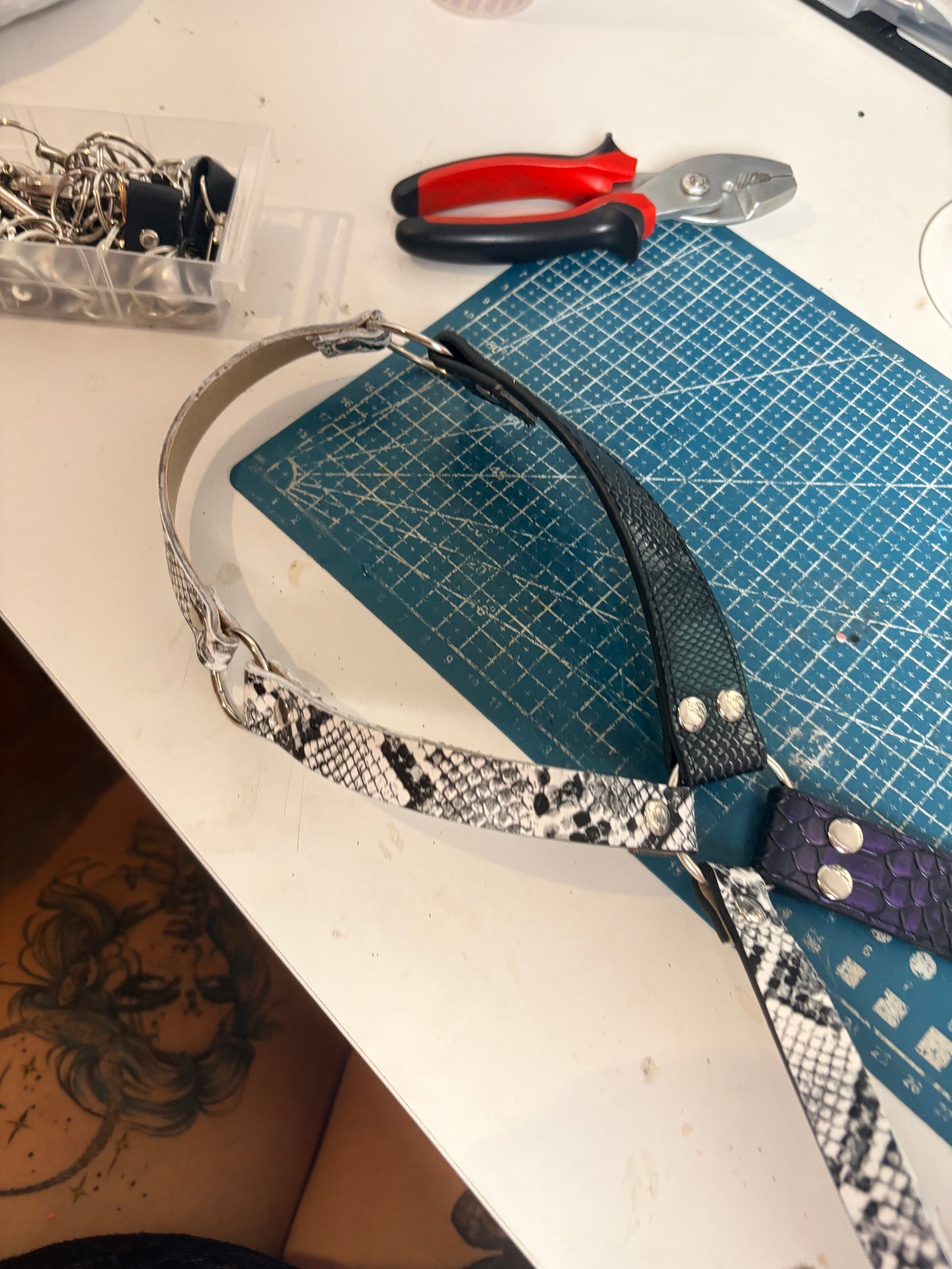 Harness e chocker serpente
