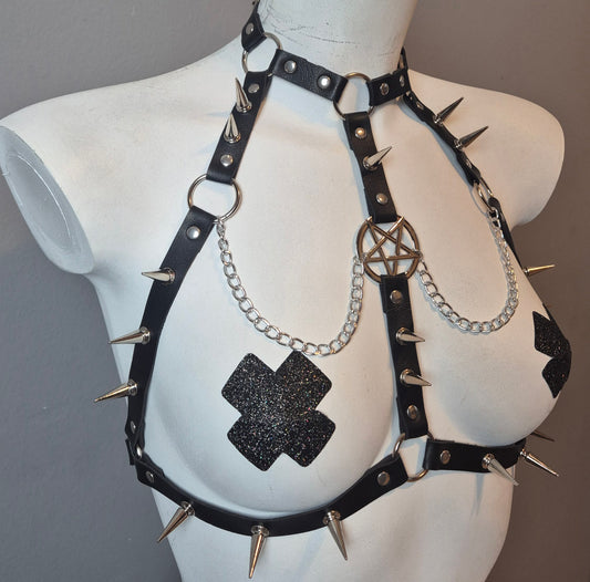 Harness pentacolo